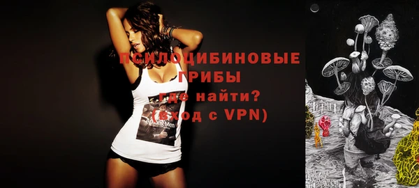 винт Алзамай