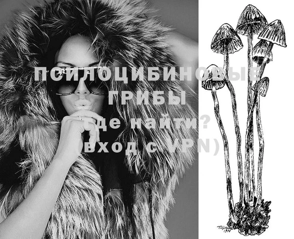 индика Алексеевка