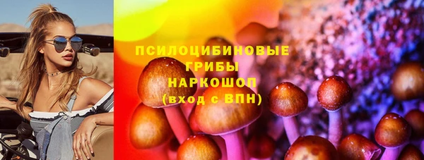 индика Алексеевка