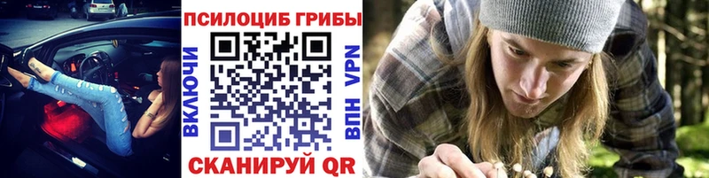 Галлюциногенные грибы Psilocybe как найти закладки Глазов